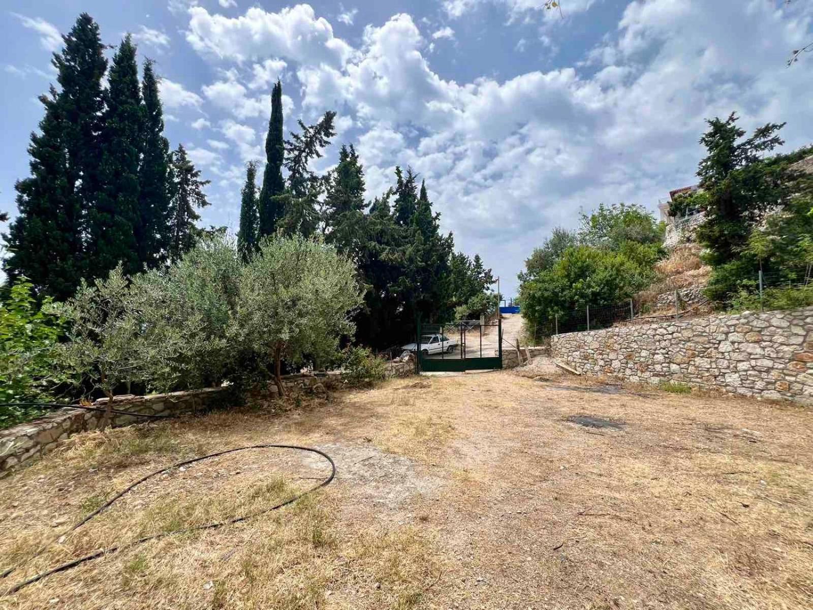 הימארה Apartments Aneta'S House מראה חיצוני תמונה